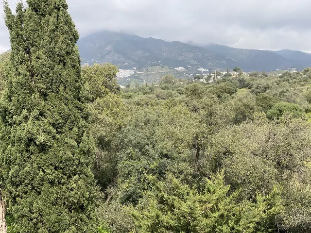 Apartamento 2 habitaciones 73m² en venta - Riviera del sol — 14
