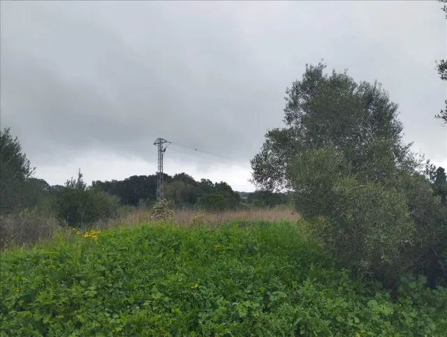 Terreno urbano 878m² en venta - Piverd-La Roella-Bruguerol — 9