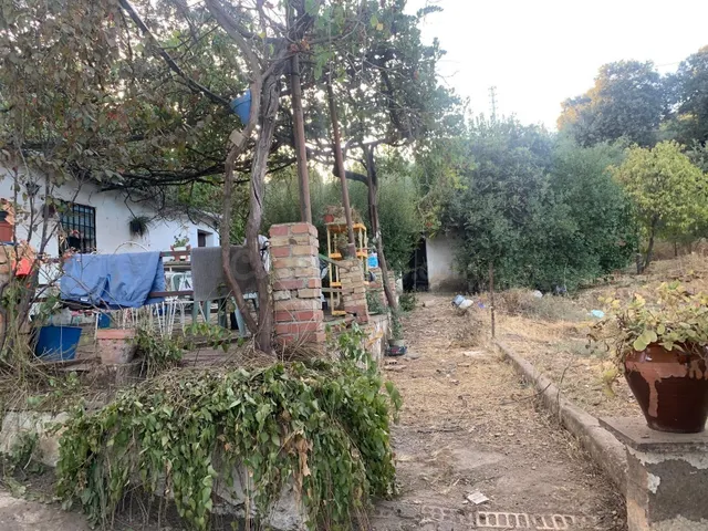 PARCELA ZONA DOÑA MANUELA - foto 5