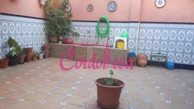 ESTUPENDA CASA JUNTO A ZOCO — 23