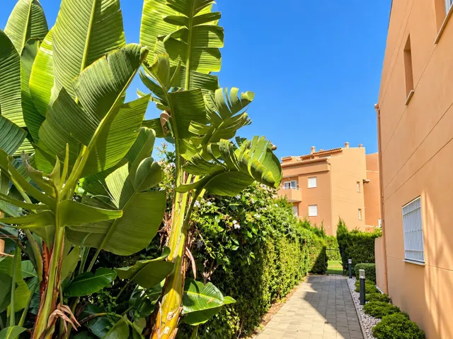 ADOSADO REFORMADO JUNTO A LA PLAYA EN ELVIRIA, MARBELLA ESTE — 18