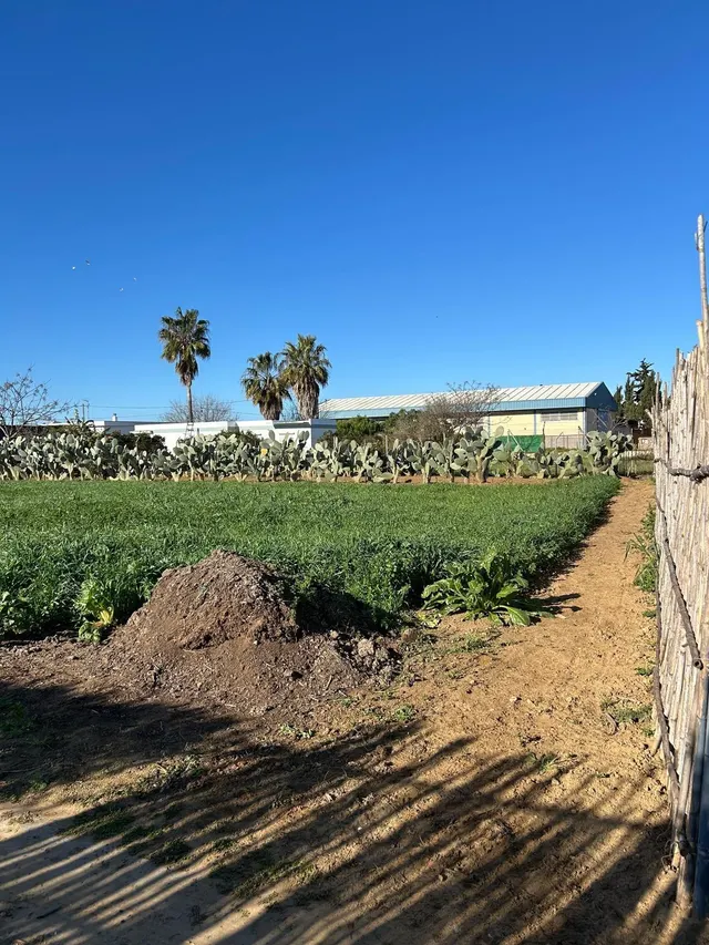 PARA LOS AMANTES DEL CAMPO Y NATURALEZA — 15