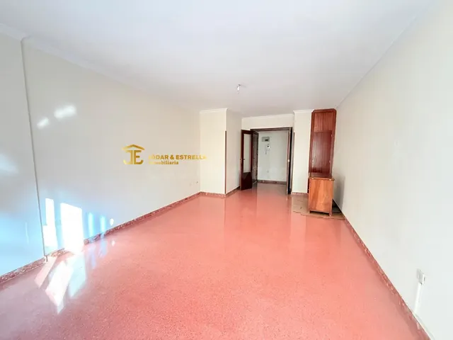 AMPLIO PISO EN AVENIDA JUAN CARLOS I CON PLAZA DE GARAJE - foto 2