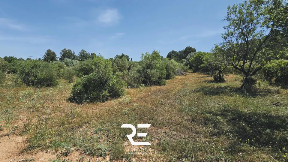 VENTA DE 3 PARCELAS AGRUPADAS CON POSIBILIDAD DE CONSTRUIR UNA VIVIENDA UNIFAMILIAR !!