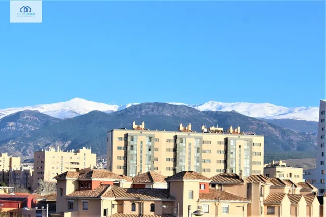 Apartamento 1 habitación 55m² en alquiler - Campus Salud — 5