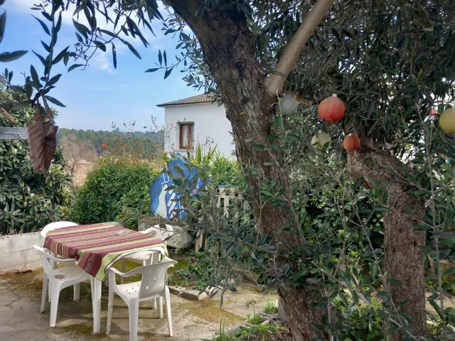 Casa 4 vientos en gran parcela con vistas a viñedos (1.040 m2) — 2