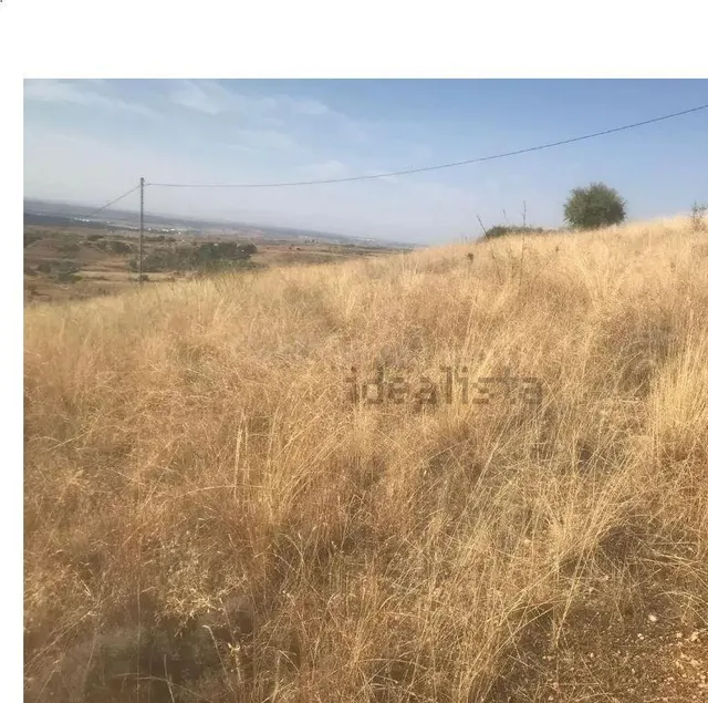 Terreno rural en venta - El Molar - foto 2