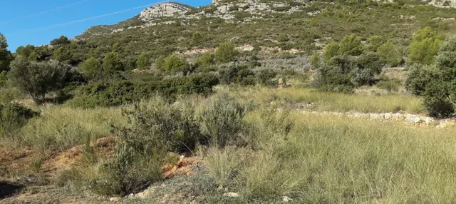 SUELO EN VENTA OROPESA DEL MAR (CASTELLON) - foto 5