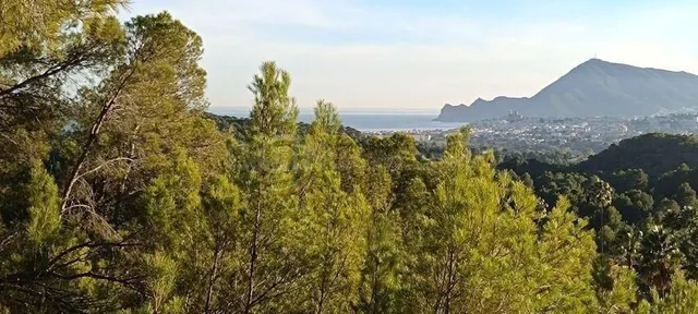 Magnífica parcela urbana en Altea la Vella con proyecto visa