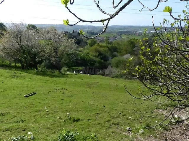 TERRENO EN LIAÑO - foto 4