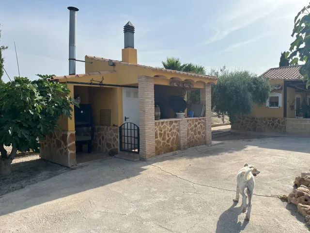 CAMPO DE FORTUNA 616652603 — 38