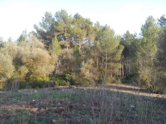 FANTÁSTICA FINCA RÚSTICA EN PLENO PARC NATURAL DEL GARRAF — 4