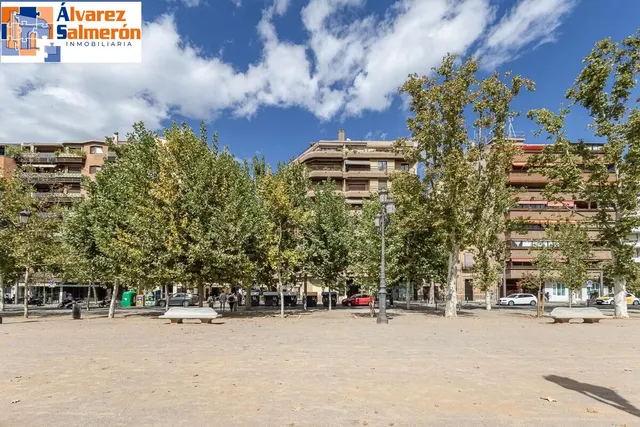 Pisazo en paseo del salón - Granada — 46