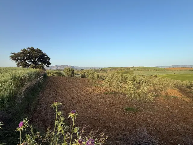 TERRENO RURAL EN VENTA — 9