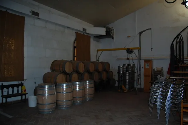 FINCA DE VIÑEDOS — 8