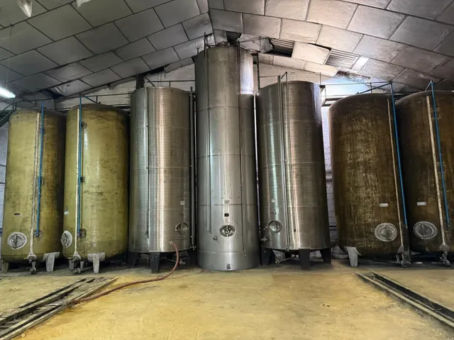 Viñedo de 24,40ha 1300m2 naves y 400m2 restaurante — 31