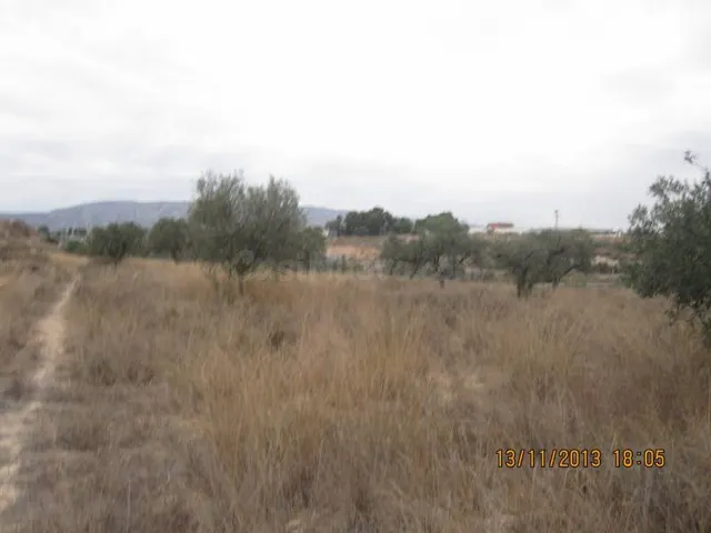 32000 metros en la zona del colegio cañis de monovar — 3