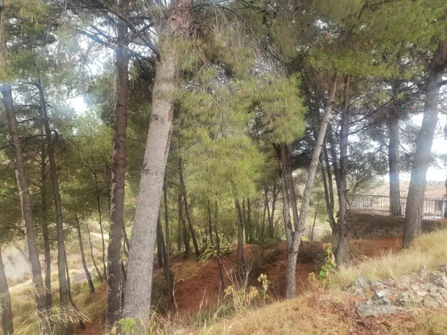 EXCELENTE CHALET A 2 MINUTOS DE PETRER — 10