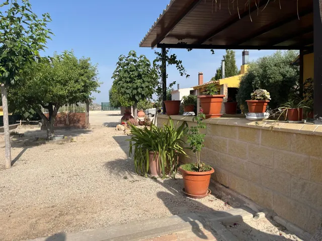 CAMPO DE FORTUNA 616652603 — 15