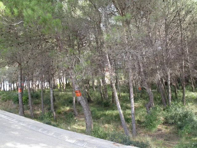 GRAN PARCELA PARA USO RESIDENCIAL - foto 4