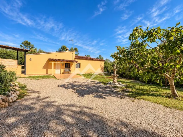 Finca rústica con CÉDULA DE HABITABILIDAD, licencia y final  - foto 4