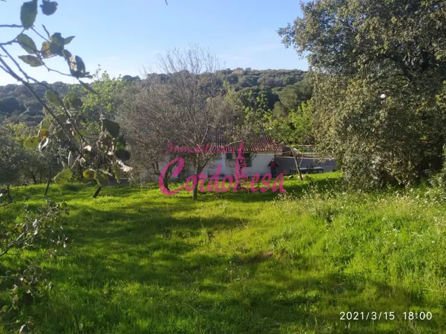 CASA CON TERRENO EN TRASSIERRA — 8