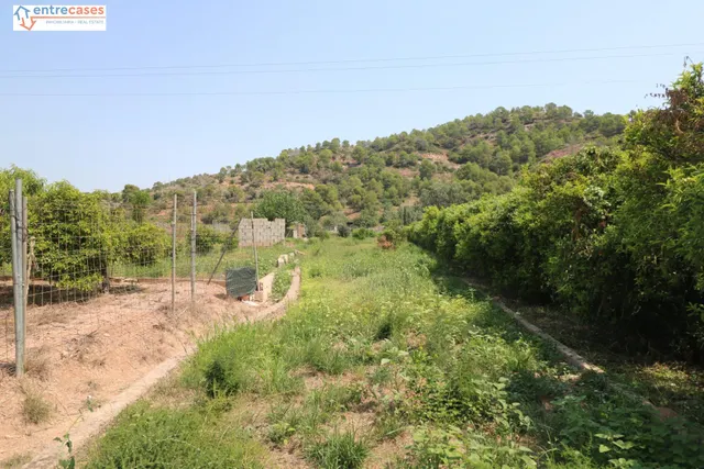 TERRENO DE 2 HANEGADAS ENTRE PETRES Y ALBALAT TARONGERS — 6