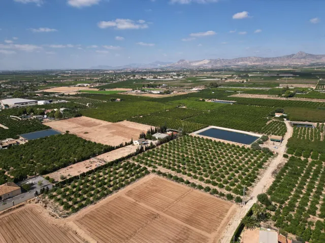 Oportunidad Inversión: Parcelas Rurales en Orihuela — 12