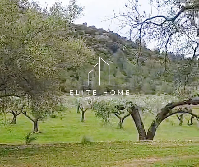 FINCA CON GRAN POTENCIAL JUNTO A CERVERA DEL MAESTRE