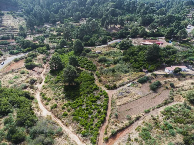 Finca rústica con potencial turístico y agrícola en Llano Ne - foto 5