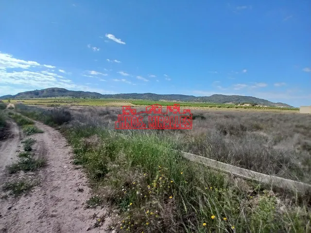 ¡¡ GRAN PARCELA DE 25851 m2 EN ABANILLA !! — 4