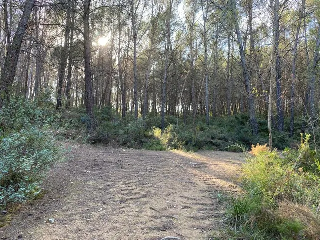 OPORTUNIDAD ENORME TERRENO EN VENTA POR 150.000€ — 31