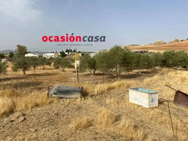 PARCELA CON GRAN VIVIENDA A LA VENTA - foto 2