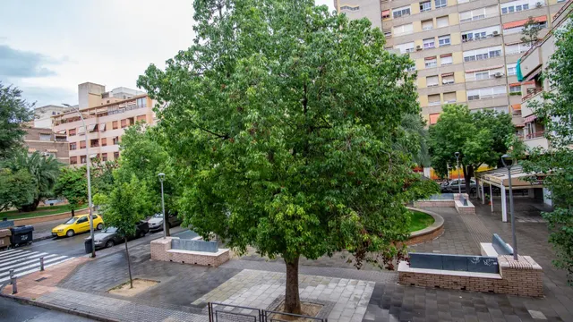 Piso en Elda, con amplia terraza y vistas a parque y jardín — 18