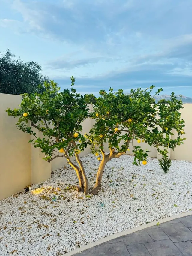 Villa 4 habitaciones 350m² en venta - Pueblo — 44