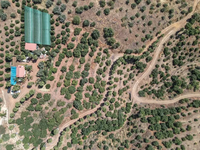 Finca Agrícola 1 habitación 85m² en venta - South of spain - foto 2