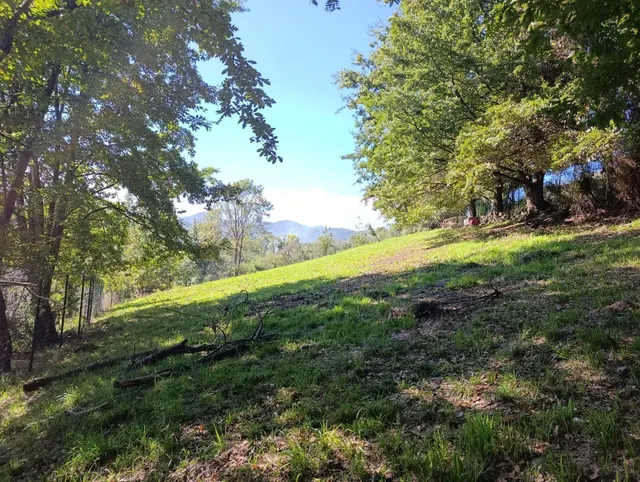 Terreno urbano en venta - Trubia — 29