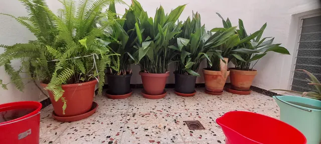EDIFICIO DE 2 PLANTAS y 2 VIVIENDAS EN BARRIO DON JESÚS ALTA CALIDAD — 33
