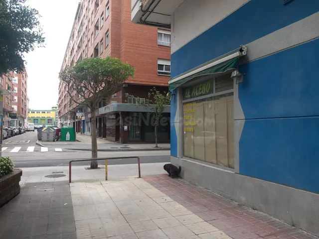 Local comercial 55m² en alquiler - Centro - foto 2