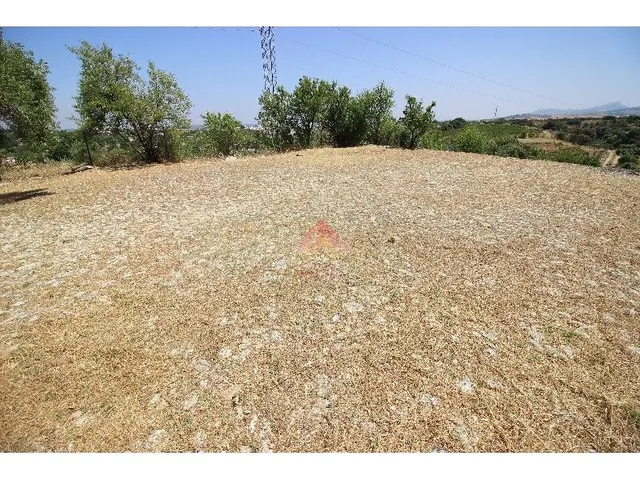 VENTA DE CASA DE CAMPO CERCA DE RONDA - foto 5
