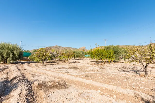 Finca rústica 4.180m2 de parcela con casa y piscina en las peñas (Fortuna) — 46