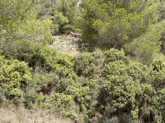 Casa de campo en una parcela de 10600 metros — 18