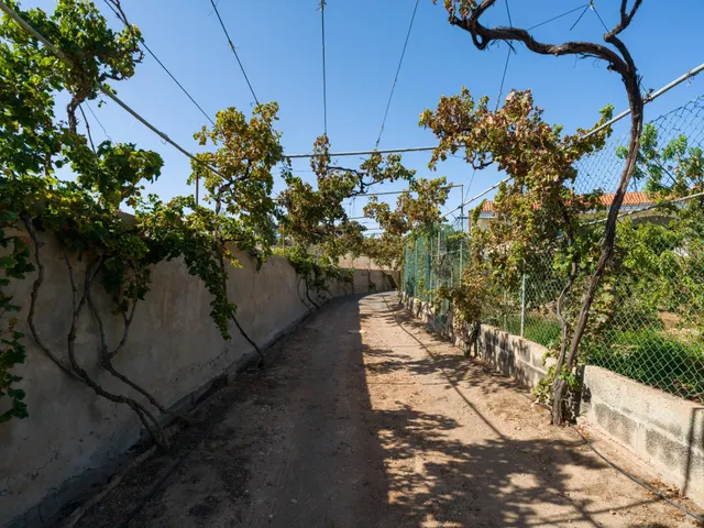 Finca rústica con amplia vivienda y azotea en Las Mejías – Ingenio, Gran Canaria — 16