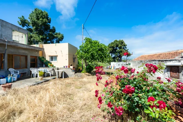 Finca con vivienda y viñedos en Icod de los Vinos — 23