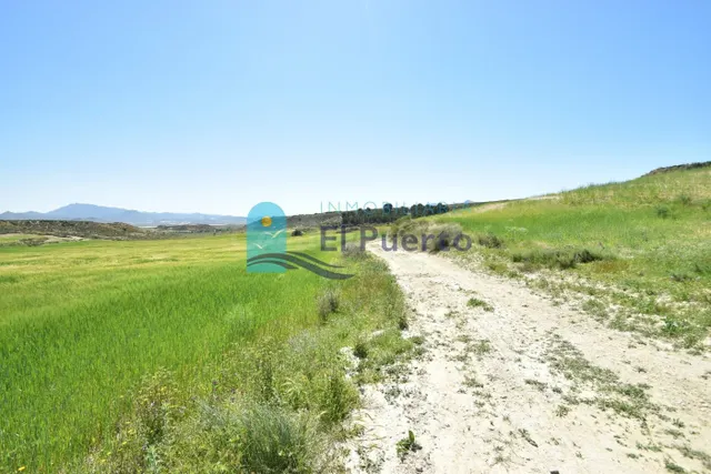 TERRENO DE 20.000 METROS EN LA MAJADA — 5