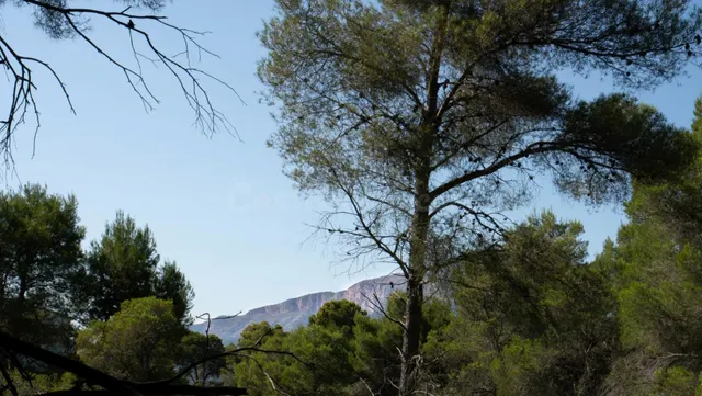 Parcela en venta - Montañar I — 4