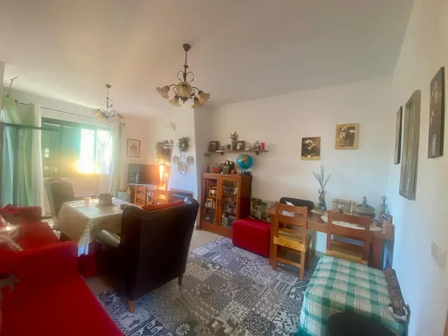 Las jaras — 19