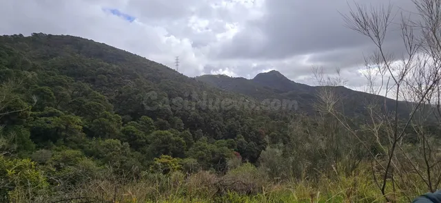 Terreno para construir en Alhaurín el Grande con vistas al m - foto 5