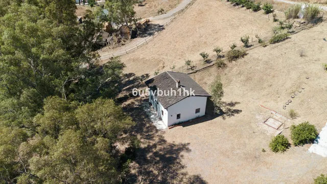 Finca rústica 3 habitaciones 156m² en venta - Centro — 27