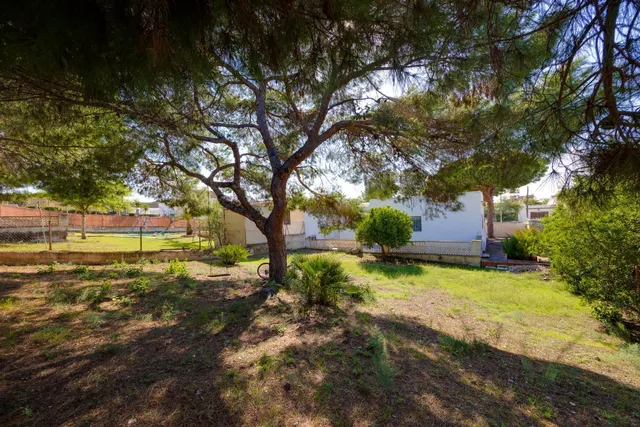 Chalet independiente en Los Balcones — 31